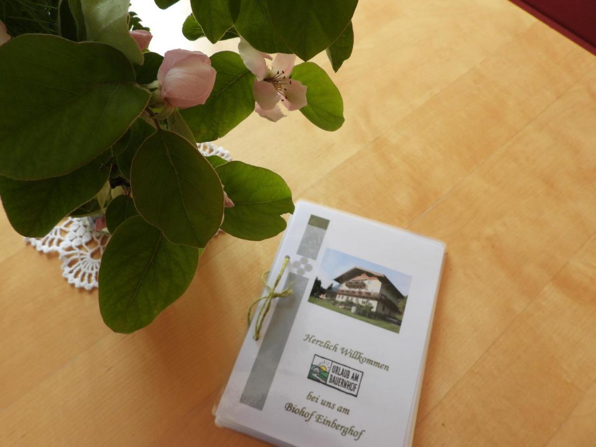 דירות פפארוורפן Bio-Bauernhof Einberghof מראה חיצוני תמונה